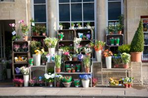 A flower stall on Pultney Bridge. Heavenly!