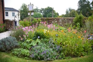 Okay, and now for some garden shots for all of you who love English gardens as much as I do!