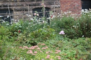 A small bed of flowers.